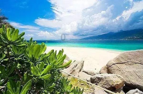 古墓丽影：崛起